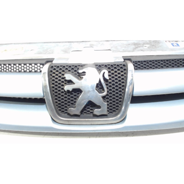 Grill Peugeot Partner/Ranch (1996 - 2015) Van 1.9 D (DW8B(WJY))
