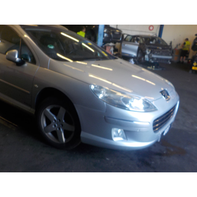 Elektrisches Schiebedach Peugeot 407 SW (6E) (2008 - 2010) Combi 2.0 HDiF 16V (DW10BTED4(RHF))