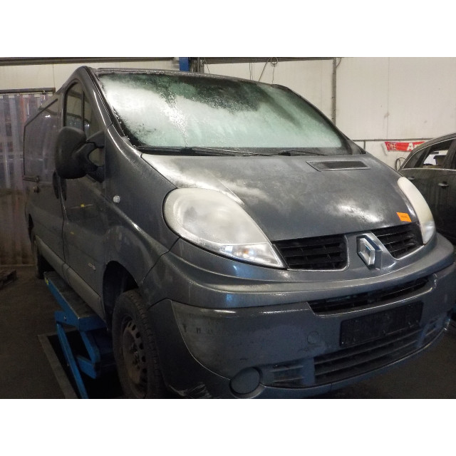 Rechte hintere Tür Renault Trafic New (FL) (2006 - 2014) Van 2.0 dCi 16V 115 (M9R-A630)