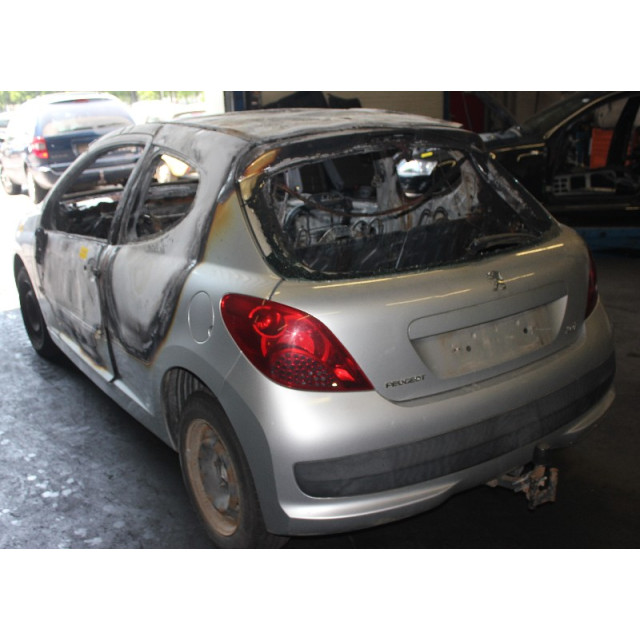 Grill Peugeot 207/207+ (WA/WC/WM) (2006 - 2013) Hatchback 1.4 (TU3A(KFV))