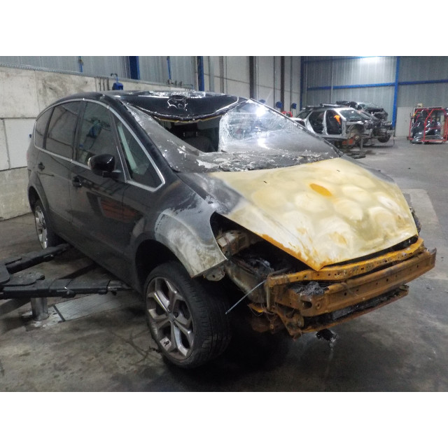 Rechte hintere Tür Ford S-Max (GBW) (2010 - 2014) MPV 2.0 Ecoboost 16V (TNWA(Euro 5))