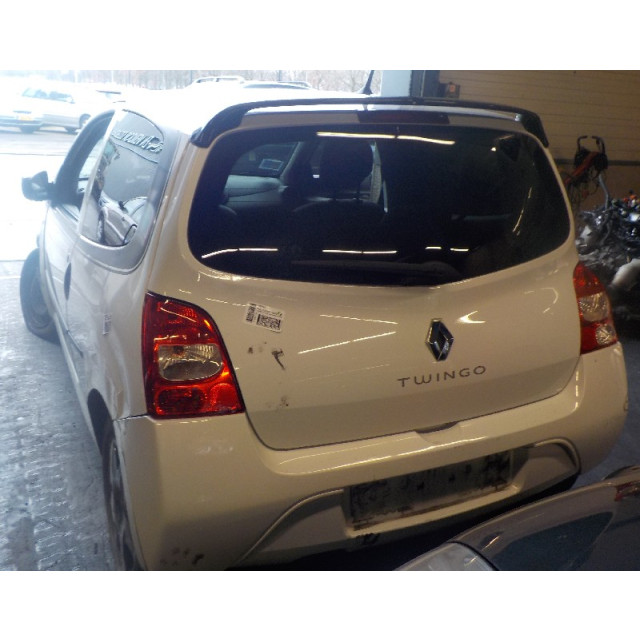 Gasdruckfedersatz hinten Renault Twingo II (CN) (2007 - 2014) Hatchback 3-drs 1.2 16V (D4F-770)