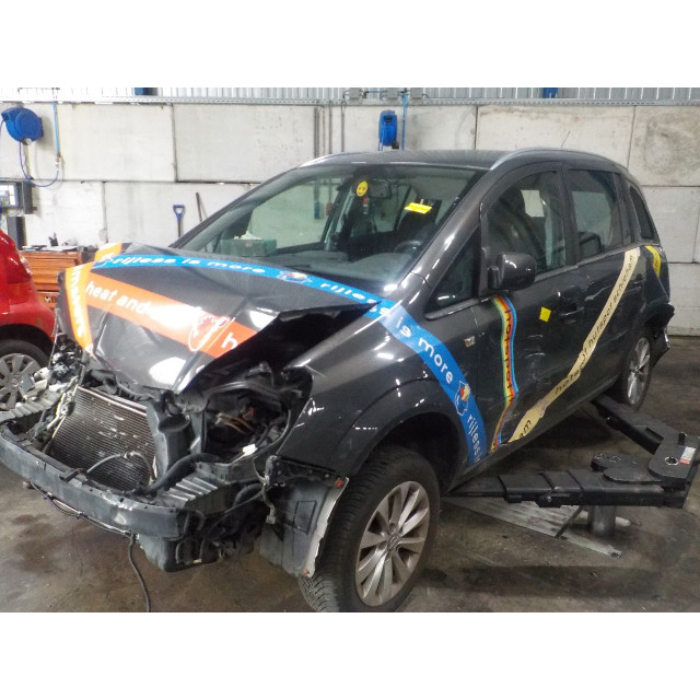 Sicherheitsgurt links hinten Opel Zafira (M75) (2008 - 2015) MPV 1.6 16V (A16XER(Euro 5))