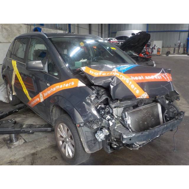 Sicherheitsgurt links hinten Opel Zafira (M75) (2008 - 2015) MPV 1.6 16V (A16XER(Euro 5))