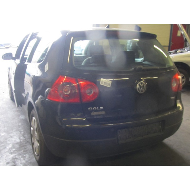 Kühlmittelbehälter Volkswagen Golf V (1K1) (2003 - 2006) Hatchback 1.9 TDI (BKC)