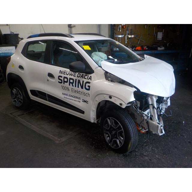 Blinkschalter Dacia Spring (2020 - Präsens) Hatchback Comfort,Essential,Expression (4DB-401)